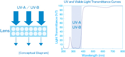 Cutting ultraviolet light that is harmful to the eyes by over 90%